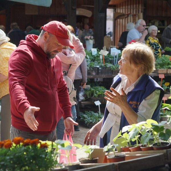 Vīrietis sarkanā džemperī un sieviete zilā vestē ar uzrakstu "AUTO F" sarunājas tirgū, ko ieskauj daudz podos audzētu stādu.